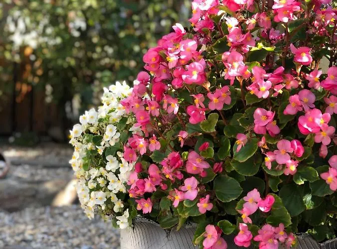 Paskal Maison d'hôtes 2*